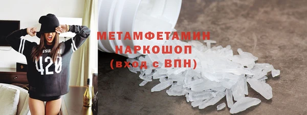 прущие грибы Костерёво