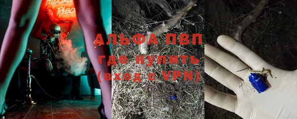 прущие грибы Костерёво